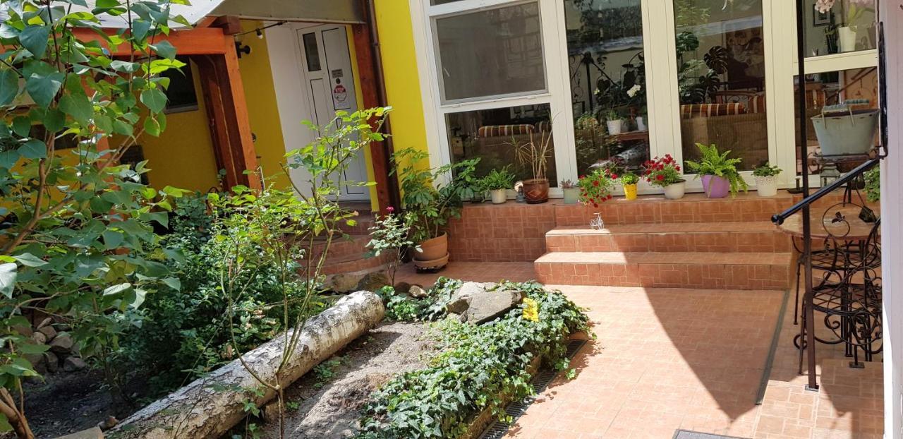 Pension Casa Leone Timisoara Exterior photo